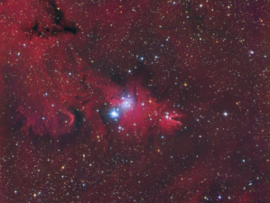 NGC 2264 (2013/03)